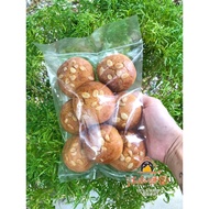 【昆仑喇叭302江永饼家】 手工传统香化饼