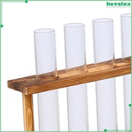 Wall Hanging Glass Planter Wood Stand Rack Tabletop Terrarium for Hydroponics Plants, Home Office De