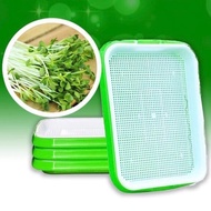 Smart hydroponic bean sprout and sprout growing tray made of safe virgin plastic
