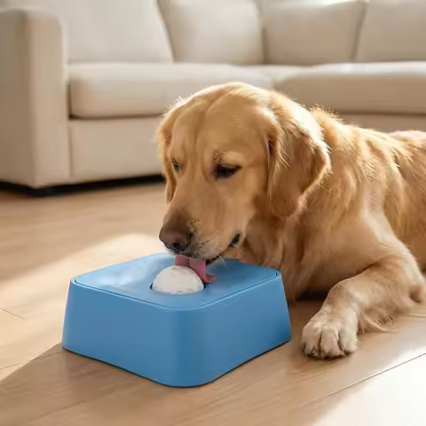 PP Material Dog Lick Bowl with Rolling Ball Large Capacity Pet Slow Feeder Blue Black Enjoy Eating L