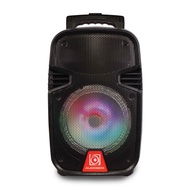 (Display Set)Audiobox BBX 800 Bluetooth Trolley Speaker with FM Radio, USB Input, SD Card