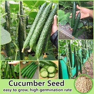 Cucumber Seed Vegetable Seeds for Planting (50 Seeds/bag) High Yield Vegetable Seed Organic Vegetables Seeds Gardening