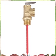 WYA-20 99C 102PSI 210F WYA-20 0.7Mpa to Valve  3/4 Inch Temperature and Pressure Relief Valve As  Sa