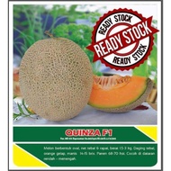 Melon Hibrida Quinza f1 20gr Original Rock Melon Melon Orange