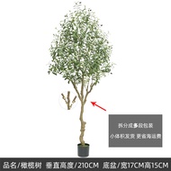 ต้นมะกอกเทียมArtificial Olive Treeต้นมะกอกกระถางปลอม สไตล์นอร์ดิกสมัยใหม่ ต้นไม้ปลอมตกแต่งบ้าน  ตกแต
