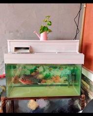 Tutup aquarium dan talang filter aquarium ukuran 60 cm