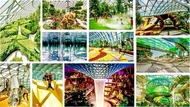 Jewel Changi Airport cheap ticket discount promotion Adventure cove water park S.E.A Aquarium Universal Studios Madame Tussauds Wings of Time Cable Car Trick Eye Museum Bird Paradise Zoo Night Safari River Wonder Garden by the bay Superpark Singapore Flye