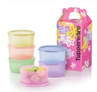 tupperware gifts - tupperware Summer Fresh Round (6) 530ml with gift box