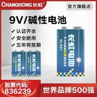 Changhong 9V Alkaline Battery Smoke Alarm Instrument Instrument Multimeter Use 6LR61 Dry Battery