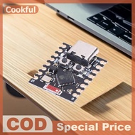 ESP32-C3 Development Board ESP32-C3 ESP32-S3 ESP32-H2 ESP32-C6 Board ESP32 C3 SuperMini WiFi ESP32C3