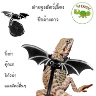 Nomoy Pet Leash Bat Wings