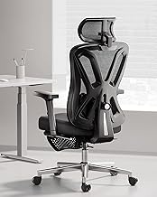 Hbada Ergonomic Office Chair, Desk Chair with Adjustable Lumbar Support and Height, Comfortable Mesh