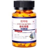 Kapsul Nitrifying Bacteria Pengurai Amoniak Dan Nitrit Bakteri Starter Oxygenic Kolam Koi Aquarium A