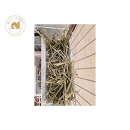 Premium Timothy Hay 提莫西牧草 1kg