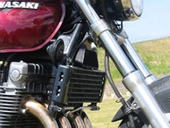 COERCE RS Custom Duct/Carbon [ZEPHYR1100/RS] 0-42-CDCC4114