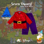 Bashful Seven Dwarfs Cosplay Costume From WhiteSnow Bashful Kids Clothes 7 Courses