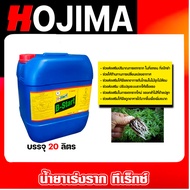 น้ำยาเร่งราก วิตามินบี-1 B1 ขนาด 20 ลิตร ทีเร็กซ์ บีวัน-สตาร์ท เร่งราก เรียกราก ช่วยให้พืชแตกรากได้ด
