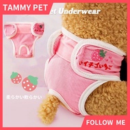 SG Shipment Pet Dog Panties Dog Physiological Pants Diaper Sanitary Washable Female Dog Menstruation