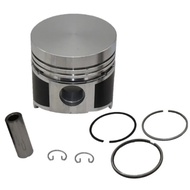 STD Piston Kits & Rings Set 102mm 1-12111-325-1 1121113251 Fits for Isuzu 6BD1 Engine (Pack of 1)