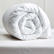 Inner Duvet/Quilt Cover/Quilt Insert/Hotel Blanket