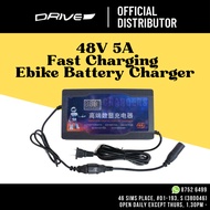 48V 5A Fast Charging Ebike Lithium Battery Charger