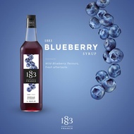 1883 Maison Routin French Blueberry Syrup