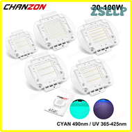 ZSELP ชิป Led สีฟ้า Uv 20W 30W 50W 100W 365nm 375nm 370nm 385nm 395nm 400nm 405nm 490nm 425nm Smd CO