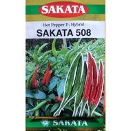 Benih cili sakata 508. Repacking Rm5 30pcs. F1 hybrid
