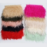 Ostrich Feather trimming Bulu Burung Kasawari