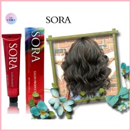 ✢ ♚ Dark Ash Blond 6/11 Sora Hair Color Dye