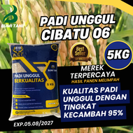 benih padi unggul Cibatu 06 kemasan 5 kg kualitas benih padi unggul