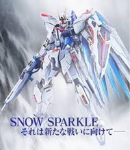 Metal Build 雪耀 自由 Freedom Gundam Concept 2 Snow Sparkle Ver