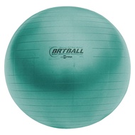 Fitpro BRT Training & Exercise Ball