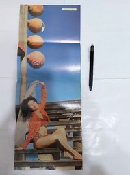 梅艷芳 拉頁海報