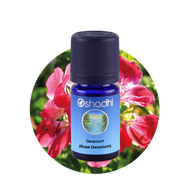 Oshadhi Geranium (Rose Geranium) essential oil 10 ml
