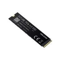 Hiksemi FUTURE Consumer SSD 4096GB *Heatsink