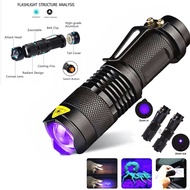 【395nm & 365nm 】 Đèn Pin UV Tia Cực Tím Có Chức Năng Zoo-M Pin AA/3200 Đèn Đen UV 395nm Đèn Máy Soi