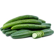8 Japanese Cucumber Seeds (fr SG)