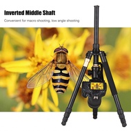 kissdumbo-SG Andoer Q999 158cm/62in Portable Photography Tripod Monopod Holder Aluminum Alloy 360° P