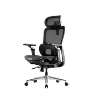 Hbada P2 Ultra Ergonomic Office Chair Gaming Chair with 5D Lumbar Support & 6D Wide Armrests Office 