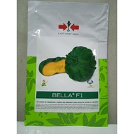 EASTWEST SQUASH BELLA F1 ASENSO PACK BY EAST WEST SEEDS