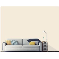 EXTERIOR PAINT SNOW WHITE NP OW 1002P(1LT/5LT) NIPPON