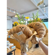 Avocado Teddy Bear Collection Complete Gift Tous Les Jours