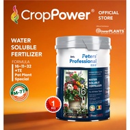 (1 KG) Baja Paksa Buah Peters Professional Larut Air Fruiting Fertilizer Pot Plant Special 16-11-32+