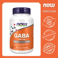 NOW Foods GABA 500 mg + B-6 100 Veg Capsules