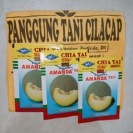 PROMO / TERMURAH Benih Melon Madu Amanda Tavi F1 isi Benih (550 +/-)