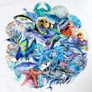 Ocean Life PET Stickers, Aesthetic Minimalist DIY Decals for Laptop, Phone Case & Luggage