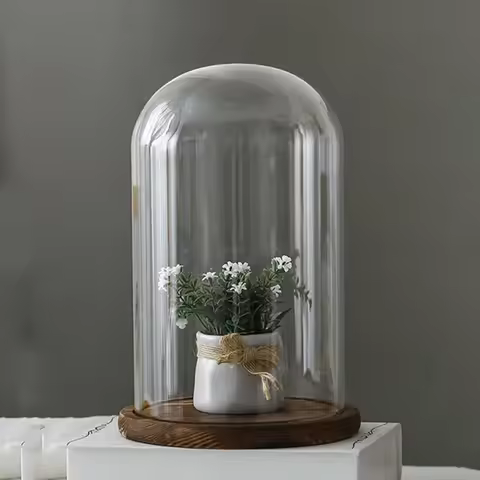 10*25cm Big Size Transparent Glass Dome Vase Home Decoration Antique Base Cover DIY Friend Birthday 