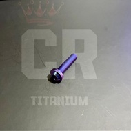 Titanium Bolt 10x40 Thread 14 Length 4cm