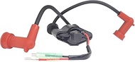 Autu Parts 6B4-85570-00 Boat Ignition Coil Assy for Yamaha Outboard 9.9-15hp 6B4-85530 FG